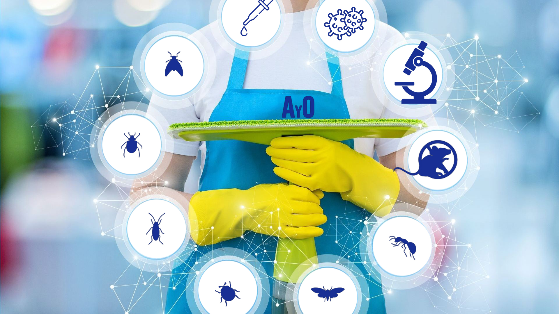 Nuesrtros_servicios